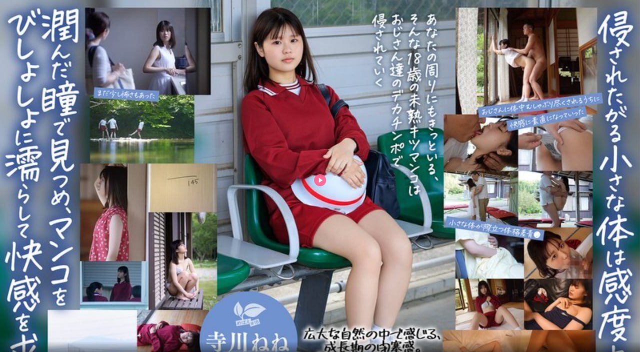 WWW.11SSS,详解功能优势,探讨应用前景,解析使用方法【哔哩哔哩...